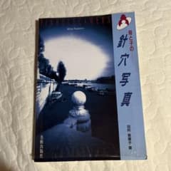 母と子の針穴写真 田所美恵子 著のサムネイル