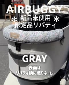 直営店限定】エアバギー純正コーナークッション 限定品リバティ グレイ
