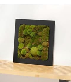 人工観葉植物 モスウォールアート 正方形 - メルカリ