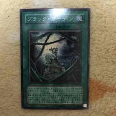 ブラックガーデンのサムネイル
