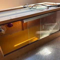 生き物様専用のサムネイル