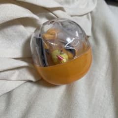 ポケモン いうことをきかない　リザードンのサムネイル