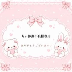 ちぃ体調不良様専用のサムネイル