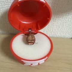 提灯 カプセルトイ 指輪ガチャのサムネイル