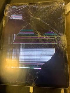 iPad pro 12.9 ジャンクのサムネイル