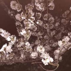 だい様専用のサムネイル
