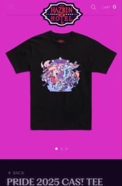 【正規品•希少】ハズビンホテル プライド 2025 Tシャツ S smallのサムネイル