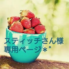 【スティッチさん様専用ページ】靴のサムネイル