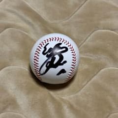 m29820236060_1.jpg?1736675523