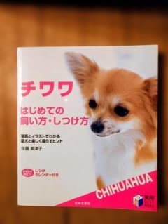 チワワ はじめての飼い方・しつけ方 佐藤美津子のサムネイル