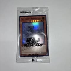 遊戯王　日本選手権2026 プロモ　The Lady's Protectors