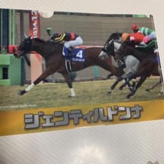 競馬 ジェンティルドンナ クリアファイルのサムネイル