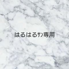はるはるサン専用　のサムネイル