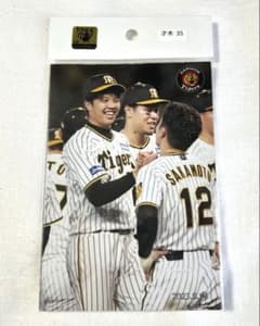 阪神タイガース 生写真セット 才木浩人 阪神タイガース 虎フォト2023 vol.3 生写真4枚セット - メルカリ