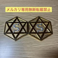 セリストン研究所 パワープレート大 直径約6cm 厚み 3mm ×27枚 | Beli