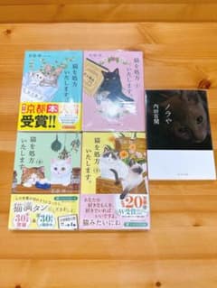携帯小説 ケータイ小説 まとめ売り 6冊セット 魔法のiらんど バラ売り
