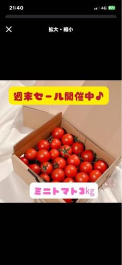 週末SALE！ミニトマト3kgのサムネイル