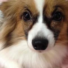 さちままさま専用のサムネイル