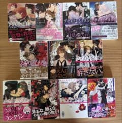 「ブライト・プリズン 」犬飼のの 11冊全巻セットのサムネイル