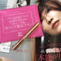 美的3月号付録　神崎恵監修　美リップブラシのサムネイル