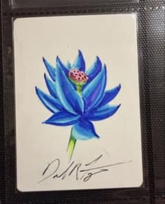 Mtg マジックザギャザリング　アーティストプルーフ　Dan fraizerのサムネイル