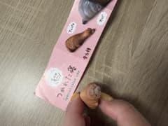 つかれた寝 カプセルトイ アルパカのサムネイル