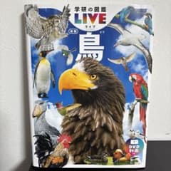 学研の図鑑LIVE 鳥 新版のサムネイル