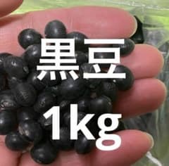 黒豆　祝黒　1kg 新物　令和7年北海道産　大粒のサムネイル