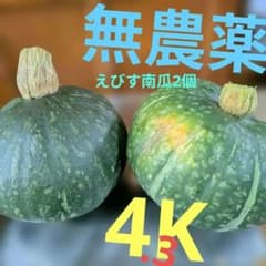 北海道遠軽産無農薬❤️えびすかぼちゃ 2個セットほくほく有機肥料約4K