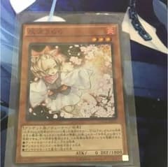 遊戯王 灰流うららのサムネイル