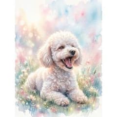 トイプードル あくび 犬 絵画 インテリア デジタルアート 水彩画風