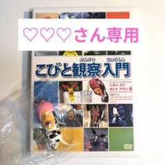【♡♡♡様専用】こびと観察入門 DVD+シボリオオチチのサムネイル