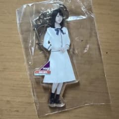 生田絵梨花 アクリルキーホルダー 24点 おまけ付き 生田絵梨花 全身アクリルキーホルダー インフルエンサー - メルカリ