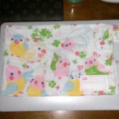 インコ✨　雑巾のサムネイル