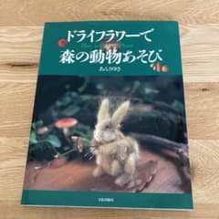 ドライフラワーで森の動物あそび : Play with plantのサムネイル