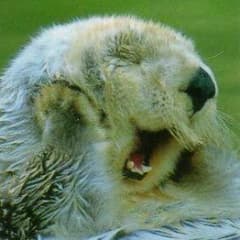 購入者様用☆タグホイヤーのサムネイル