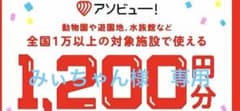 みぃちゃん様専用即取引可能 アソビュー クーポンのサムネイル