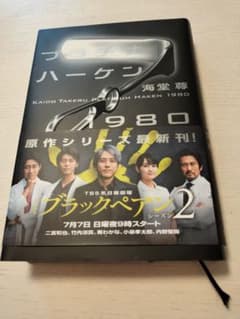 プラチナハーケン　1980のサムネイル