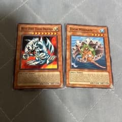 トゥーンマーメイド　ブルーアイズトゥーンドラゴン　英語版　遊戯王