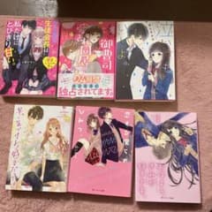 恋愛小説   まとめ売り   バラ売り⭕️のサムネイル