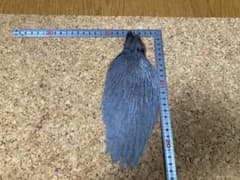 ホフマン　ヘンネック　ハックル　ダークダンのサムネイル