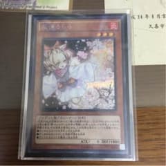はるうらら シクのサムネイル