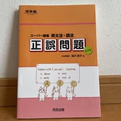 スーパー講義 英文法・語法 正誤問題のサムネイル