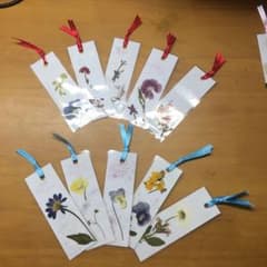 しおり　押し花　10点セット②のサムネイル