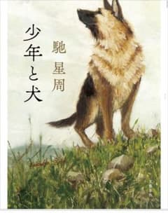 少年と犬のサムネイル