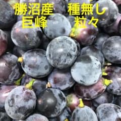 山梨県勝沼産 種無し巨峰 粒 １kgのサムネイル
