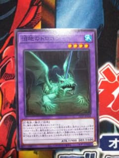 遊戯王 沼地のドロゴンのサムネイル