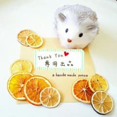 はなはな様専用のサムネイル
