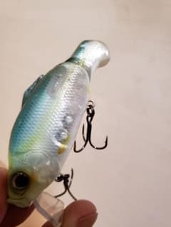OSA80のサムネイル