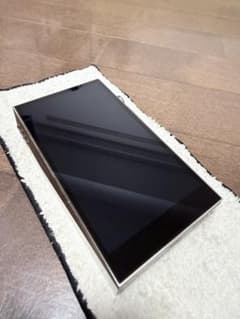 SP3000T Silber ケース新品同様 真空管 - メルカリ